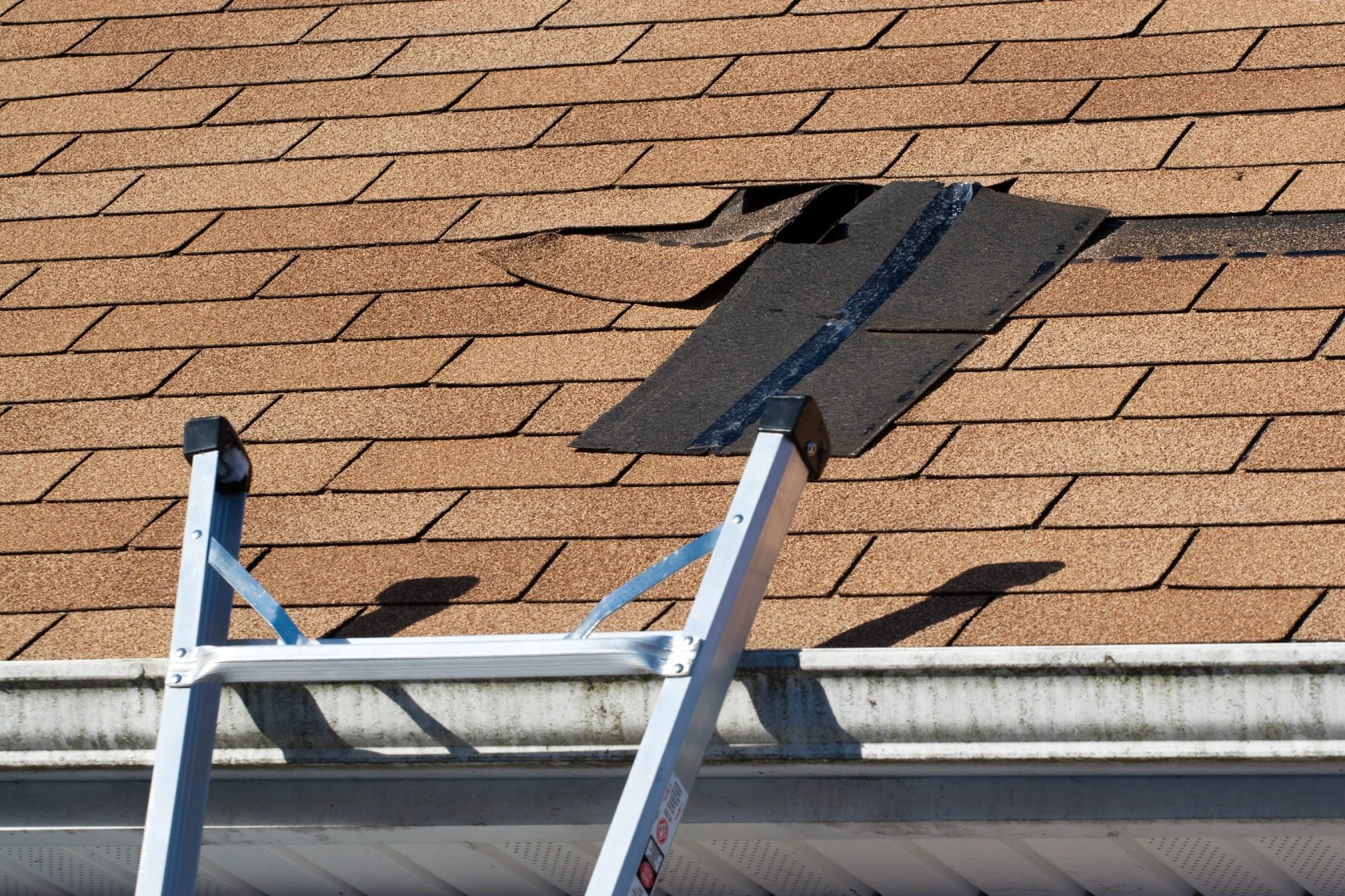 Damaged roof shingles